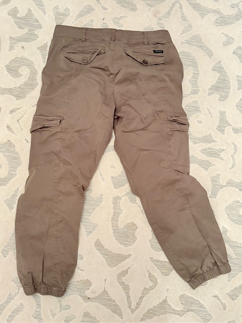 Sanctuary Men's Olive Brown Cargo Joggers